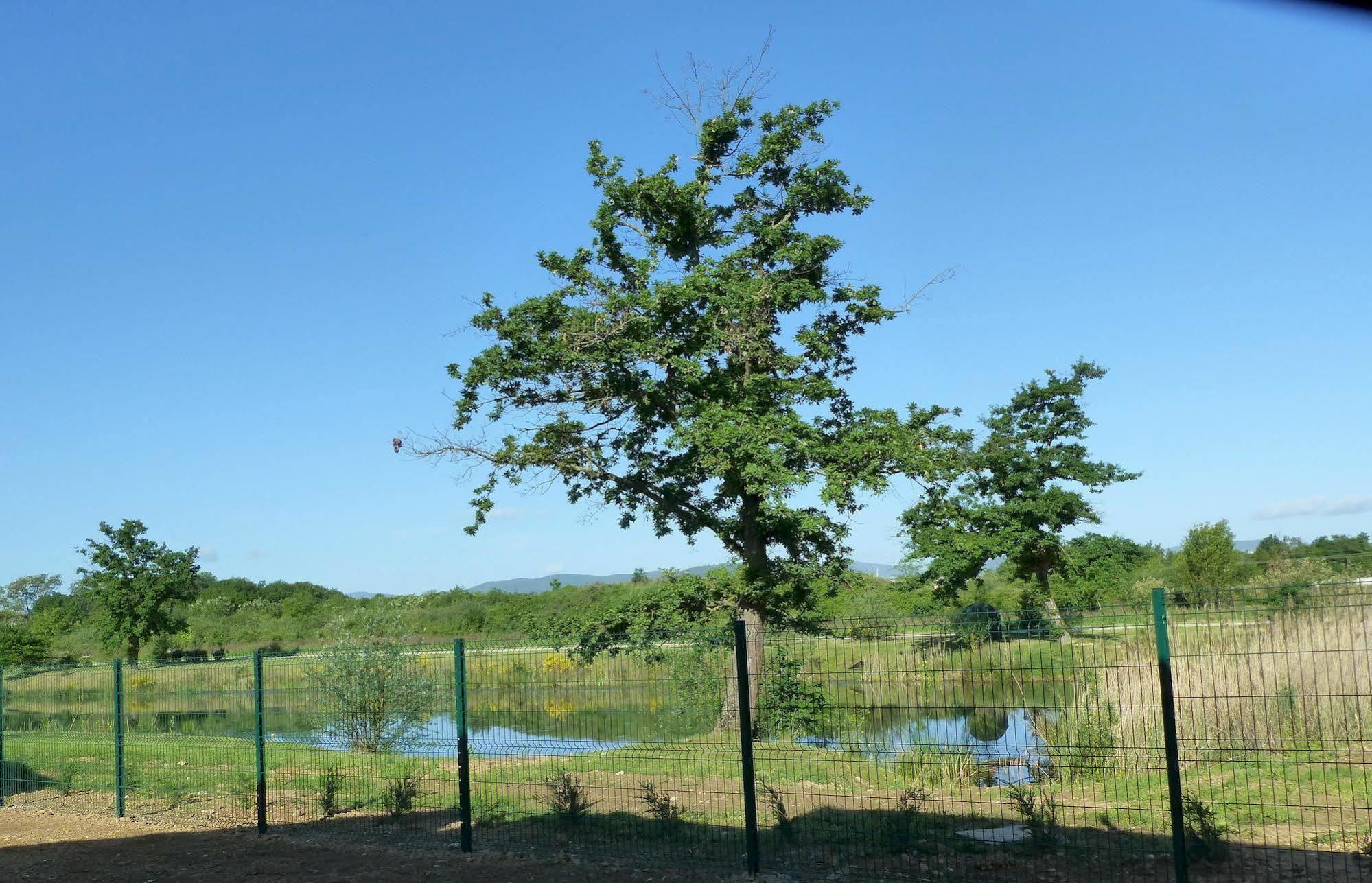 Au Beaujolais Saint Jean Hotell Belleville-sur-Saône Exteriör bild